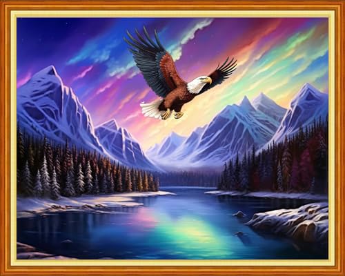 Image of Dimensean Stamped Cross Stitch Kits Full Range of Embroidery Patterns Starter Kits for Beginners Adult DIY Cross Stitches Needlepoint Kits 11CT-Aurora Lake Scenery 16x20 inch