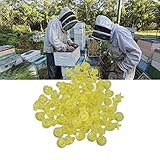 Zoom IMG-2 tazza di allevamento api regina Zoom IMG-2 tazza di allevamento api regina