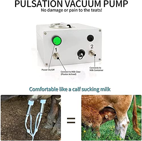 Ordeñadora eléctrica de acero inoxidable de 14 L, portátil, con bomba de vacío, para ovejas y cabras, ideal para uso doméstico y agrícola