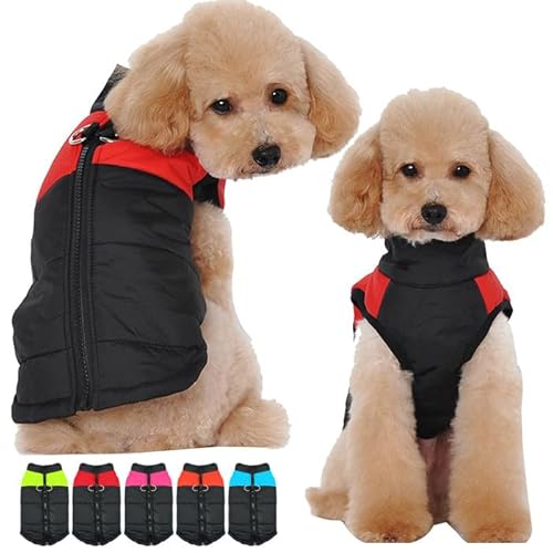  g WPbg xXg EFA ybg  ^ ^ ^ h h h0147 (sN, XL)