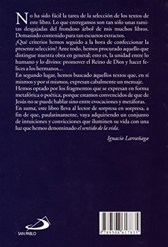 El Sentido de La Vida (Spanish Edition) [Spanish] 9508617837 Book Cover