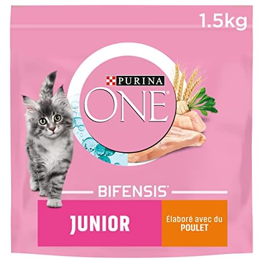 Purina One Junior de 1 à 12 mois - au Poulet et aux Céréales Complètes - 1,5 KG - Croquettes pour Chaton - Pack de 6