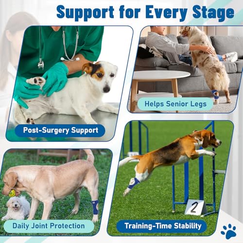 Image of Dog Leg Braces for Back Leg- Hock and Ankle Joint Support Brace for Rear Legs with 2 Metal Strips, Reflective Edging for Sprain, Injury, Arthritis, Wound Recovery,Blue,S