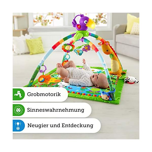 Fisher-Price Jumperoo Baby-Spielcenter mit Lichtern, Geräuschen und Musik, interaktiver Wippsitz für Babys, Hüpf-Leopard… – Bild 8