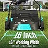 16-Inch 2-in-1 Electric Dethatcher and Scarifier, Lawn Tool with 12-Gallon Thatch Collection Bag, 5-Position Depth Adjustment, Foldable Design
