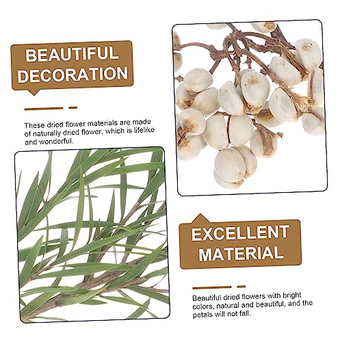 Kit de Flores Secas para Manualidades y Decoración miniatura 5