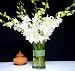 Fresh Flowers White Dendrobium Orchids with Vase