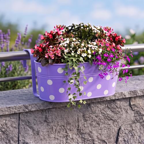 Image of TrustBasket Dotted Oval Railing Planters Basket - Purple (Set of 5) | Heavy-Duty UV Stabilized Metal Flower Pots for Railings, Fence & Balcony, Indoor Outdoor Herb, Flower & Decorative Plants