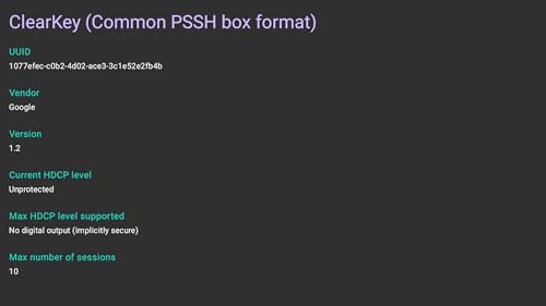 Codec Info