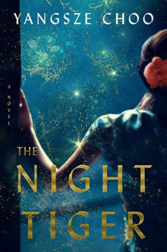 The Night Tiger view 2