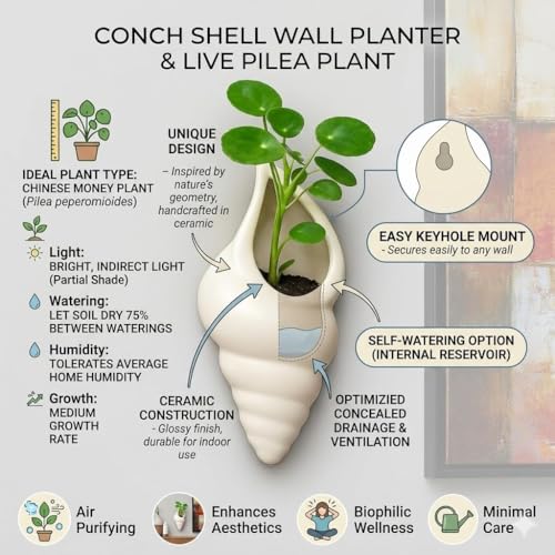 Image of Ceramic Wall Planter - Modern Scalloped Hanging Flower Pot for Indoor Plants - Minimalist Half-Moon Wall Vase for Succulents, Pilea, & Air Plants - Elegant White Floating Planter for Decor (3)