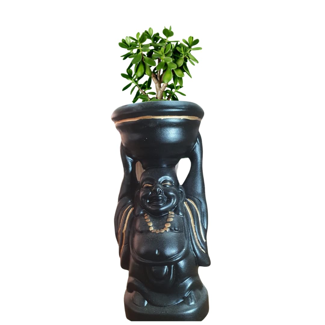 See full amazon price history chart for SHAVI DE - Laughing Buddha Ceramic Pot for Indoor Plants, Planters, Flower Pot, Pots, Gamla, Outdoor, Balcony, Home, Garden, Office Decor, Succulent Pot (H 10cm X D 25.5cm) (Black/Gold) SHAVI DE - Laughing Buddha Ceramic Pot for Indoor Plants, Planters, Flower Pot, Pots, Gamla, Outdoor, Balcony, Home, Garden, Office Decor, Succulent Pot (H 10cm X D 25.5cm) (Black/Gold) (B0BN65Y3GV) Amazon Price History, Amazon Price Tracker