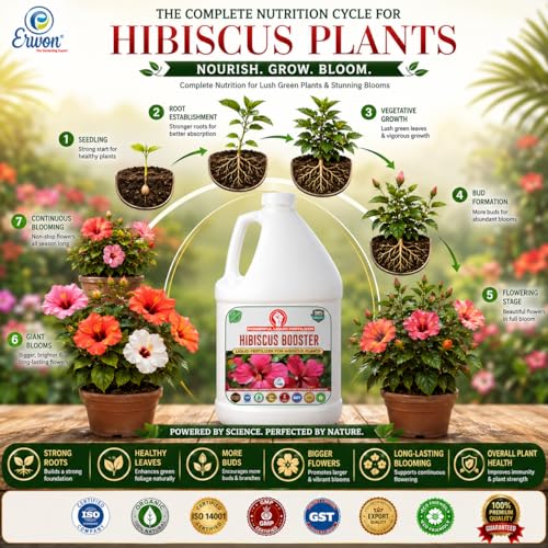 Image of Erwon Hibiscus Booster, Premium Essential Powerful Liquid Fertilizer for the Best Growth of Hibiscus Plants with Flowering Nutrients and Charged Micro-organism (500 ml)