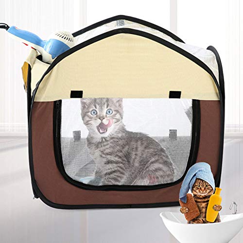 Best Cage Dryer For Dogs