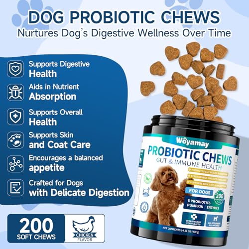 Woyamay Probiotics for Dogs, Dog Probiotics for Gut Support & Overall Wellness, 200 Chicken Flavour Soft Chews, Probiotic Chews for Dogs, Supports Gut Balance|Skin Comfort|Digestive Care for All Dog - Image 3