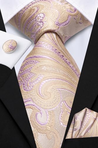 Image of Hi-Tie Mens Paisley Floral Striped Ties Set Silk Necktie and Lapel Pin for Men Pocket Square Cufflinks Set Business Wedding