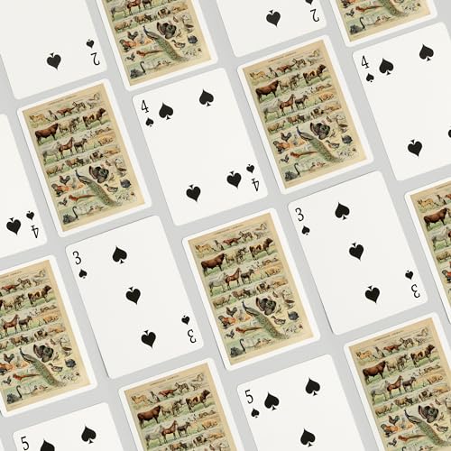 Baraja de 52 cartas de poker Lantern Press con arte vintage miniatura 4