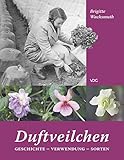 duftveilchen kaufen  Duftveilchen: Geschichte - Verwendung - Sorten