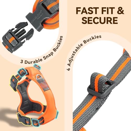 VIVAGLORY No Pull Dog Harness Vest Harness, L, Orange - Patterned - 2