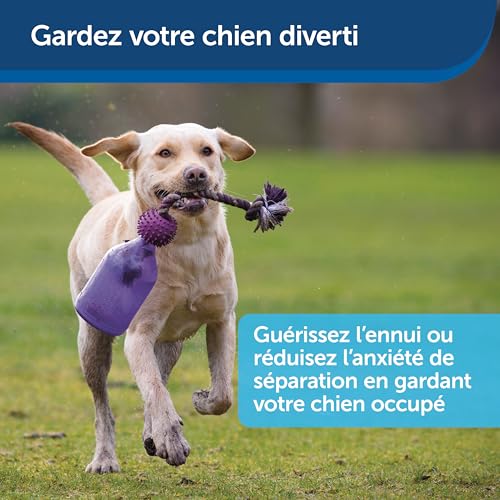 PetSafe Busy Buddy Tug-a-Jug Hundespielzeug, Snackspender mit Seil, Beschäftigung und Gewichtskontrolle, Größe S