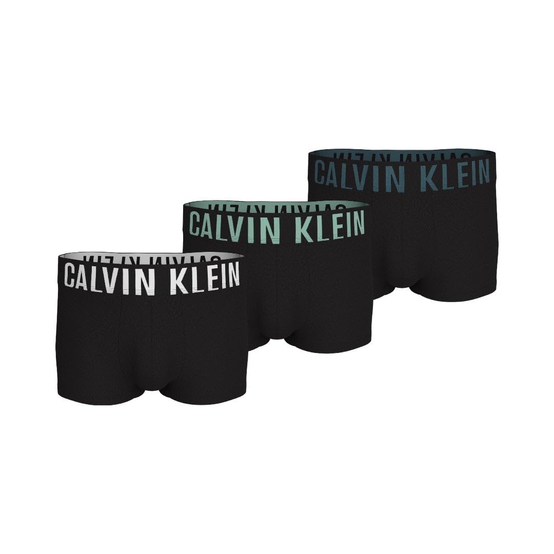 Calvin KleinMens LOW RISE TRUNK 3PK Underwear Bottoms