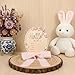 Tucnoeu Baby Announcement Sign, Wooden Hello World Newborn Welcome Sign, Bow Birth Stats Signs Newborn Photo Prop, Monthly Milestone Wood Discs(Ribbon)