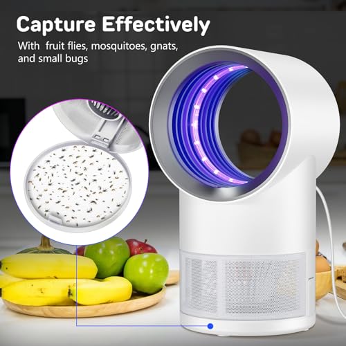 Image of Fly Trap Indoor,Gnat Traps House Indoors, Indoor Insect Trap with Timer, Pack of 10 Refills (White)