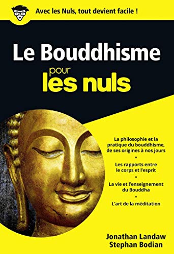 Télécharger Le Bouddhisme Pour les Nuls Livre PDF Gratuit