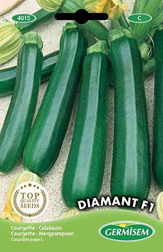 Germisem graines Courgette DIAMANT F1