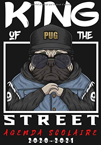 Télécharger AGENDA SCOLAIRE 2020-2021: agenda scolaire chien,+ calendrier 2020-2021 ,primaire college et lycee , livre En ligne