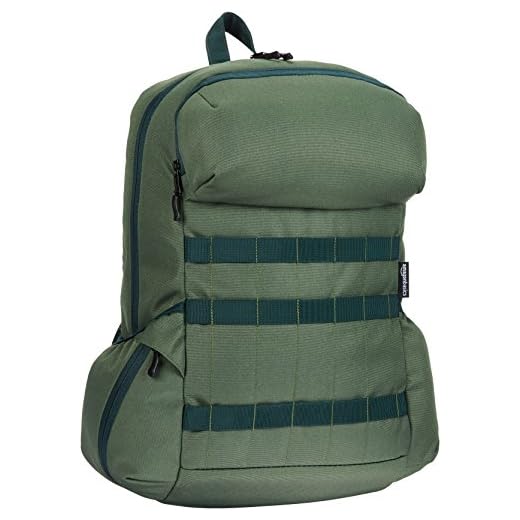 AmazonBasics – ryggsäck av kanvas för bärbara datorer upp till 38 cm/15 tum, skoggrön