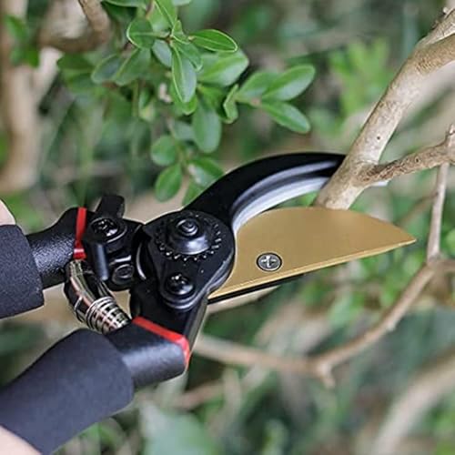 Kramer&Co. Gardening Secateurs with Ergonomic Anti-Slip Handle, Gardening Pruning Scissors, Bypass Pruning Secateurs for Trimming & Hedge Shears Cutting - Garden Tools - Black - Image 5