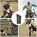 Dog Bite Sleeve, Dog Training Sleeves Arm Protection for Training Large Dogs, Professional for Puppy Work Dog Biting Playing Tugging Toy Dog Training Large Dogs Dog Training arm bite Sleeve（Black ）