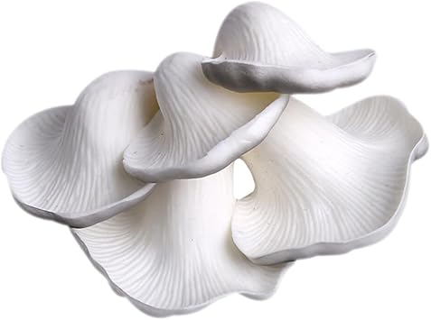 False Straw Mushroom Decorative Fake Mushroom Simulated Mushroom Decor Interesting Mushroom Model Interesting Fake Mushroom Small Mushroom Decor Micro MushroomAccessory