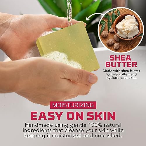 Age Of Sage Natural Bar Soap For Women - Vegan Bath Soap Bars Gift Set thumb #4