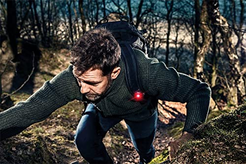 Orbiloc, Sicherheitslicht für Hundehalsbänder