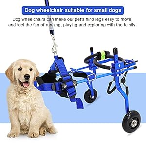 Adjustable-Dog-Wheelchair-for-Back-LegsPetDoggie-Doggy-Wheelchairs-with-Disabled-Hind-Legs-Walking-XS-Blue - Cucciolini Doodles   Adjustable-Dog-Wheelchair-for-Back-LegsPetDoggie-Doggy-Wheelchairs-with-Disabled-Hind-Legs-Walking-XS-Blue