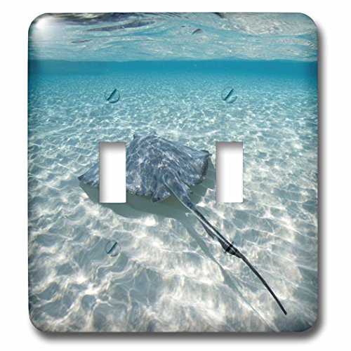 Stingray Caraïbes interrupteur double double commande robuste et design