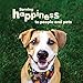 Pet 'n Shape Chik 'n Skewers - Chicken Wrapped Rawhide Chew Dog Treats - 1 Pound