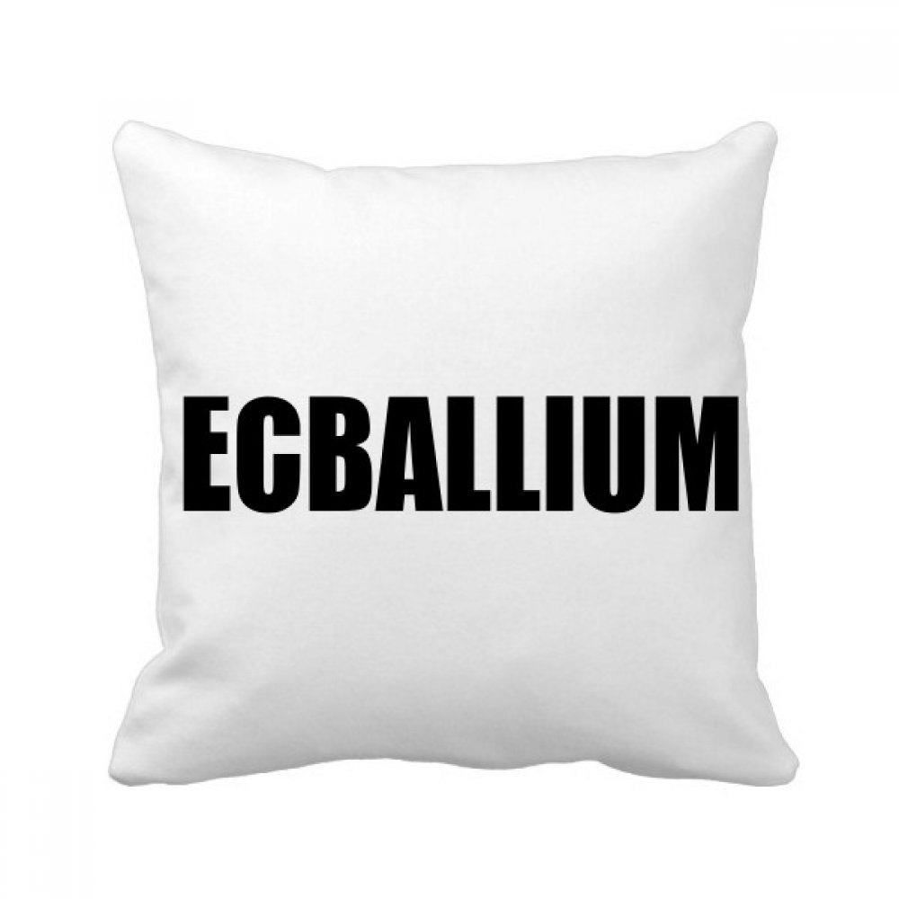Coussin Ecballium légumes 40x40cm pour raviver un canapé terne avec confort et couleurs