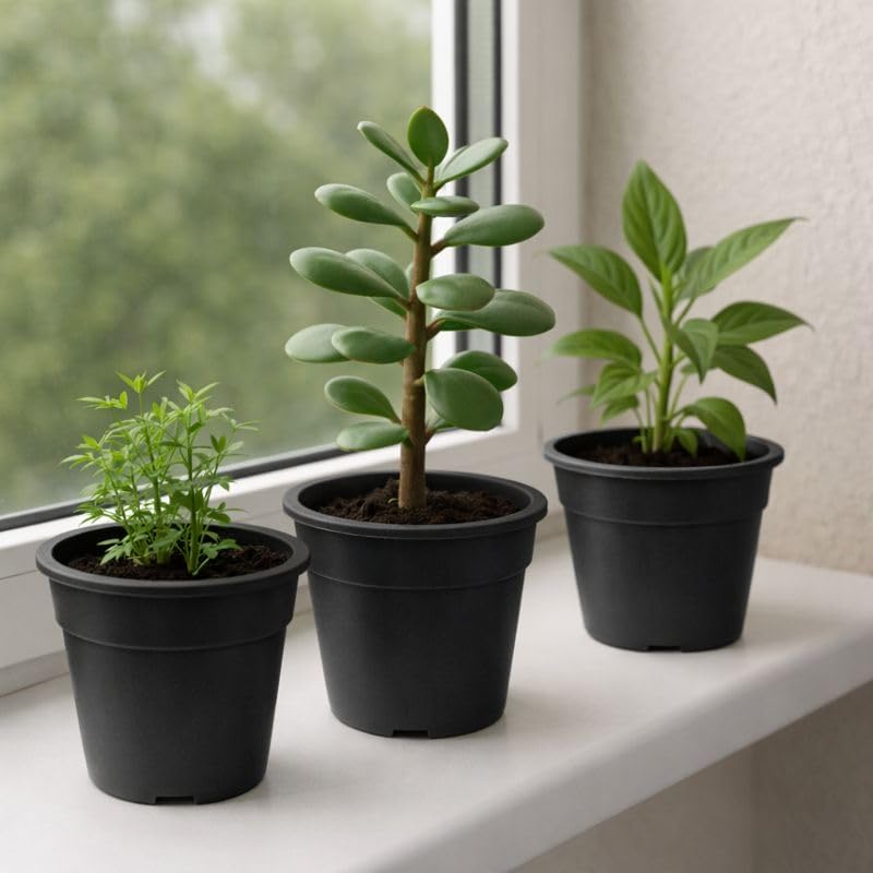 Image of Indian Gardens - 4 inch Indoor (Pack of 10) Plastic Small Colour pots | Plastic Plant Pot for Terrace Garden (Black)
