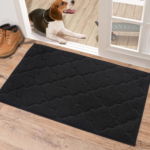 COSY HOMEER Door Mat 60 x 90cm, Absorbent Doormats NonSlip Indoor