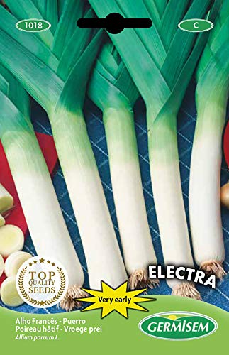 Germisem graines Poireau hâtif ELECTRA