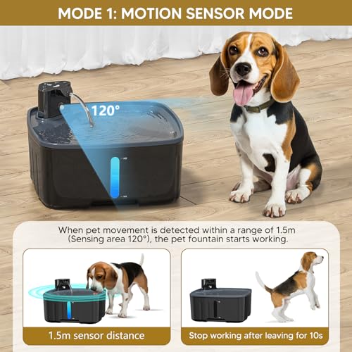 Kittyspout Trinkbrunnen für Hunde Kabellos 8L/270 oz Grosse Hundebrunnen Katzenbrunnen mit Bewegungsmelder, Hunde Trinkbrunnen Kabellos mit Akku 5000mAh, mit Leiser Pumpe und Aktivkohlefilter