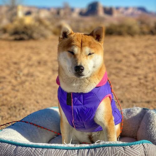 Image of Gooby Sports Vest Dog Jacket, Purple, Small | Fleece-lined, water-resistant outer; 3-point hook-and-loop fit; Reflective lining; Leash attachment