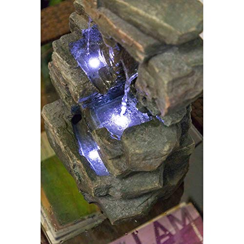 image for Alpine Corporation 13