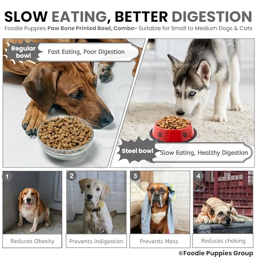 Image of Foodie Puppies Stainless Steel Dog Bowl Combo - (Medium, 700ml) Food and Water Feeding Gift Bowl | Suitable for Dogs, Cats and Other Pets I Paw Bone Print, Anti-Skid Rubber Base (Black + Red)