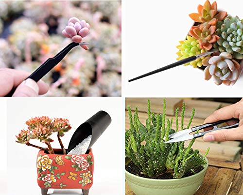 Wesdxc56 20 Pieces Succulent Plants Tools, Mini Garden Hand Tools Set Transplanting Tools Miniature Planting Gardening Tool Set for Indoor Miniature Fairy Garden Plant Care - Thumbnail 5