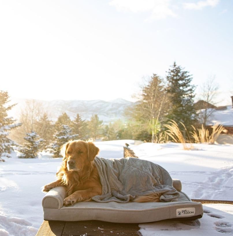 Unmatched Comfort: PetFusion BetterLounge Orthopedic Dog Bed Review