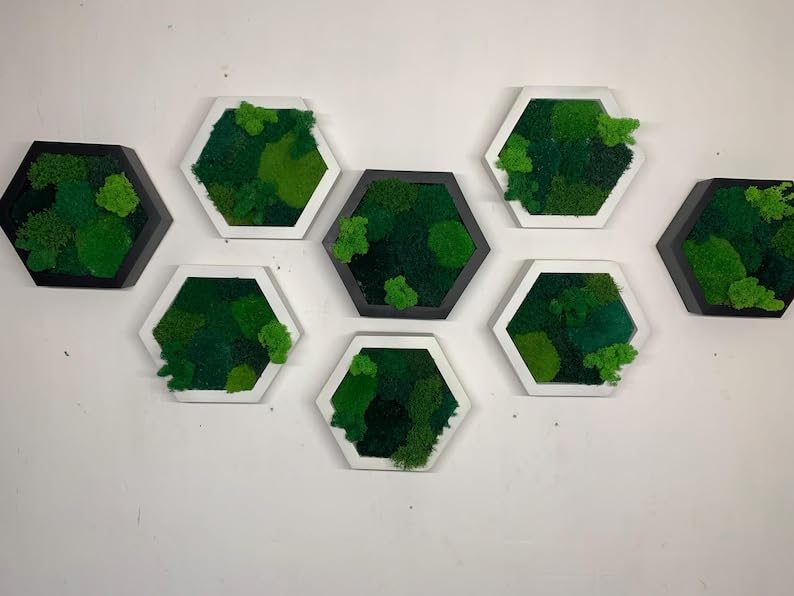 Moss Hexagons